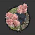 Traditional Architecture With Pink Cherry Blossom Trees Blue Roof Small Bridge Stream And Stone Lantern