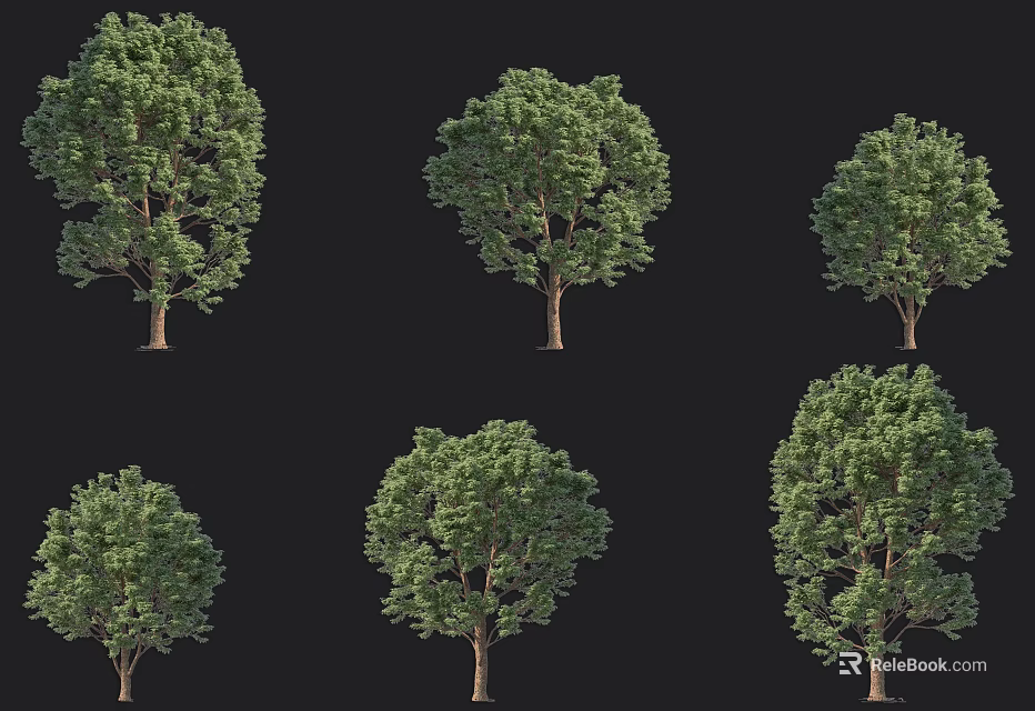 Various Arbor Tree Collection With Green Leaves Trunk And Different Crown Shapes 3d model 