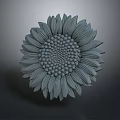 Gray Sunflower 3D Model With Detailed Petals And Central Seed Pattern On Dark Background