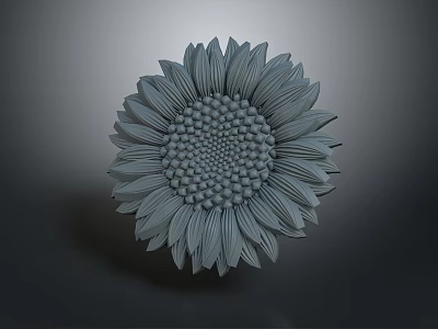 Gray Sunflower 3D Model With Detailed Petals And Central Seed Pattern On Dark Background 3d model