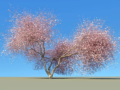 Vibrant Blooming Arbor Trees With Pink Blossoms Against Blue Sky 3d model