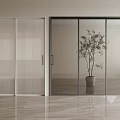 Modern Interior Sliding Doors With Frosted Transparent Glass And Potted Plant On Marble Floor