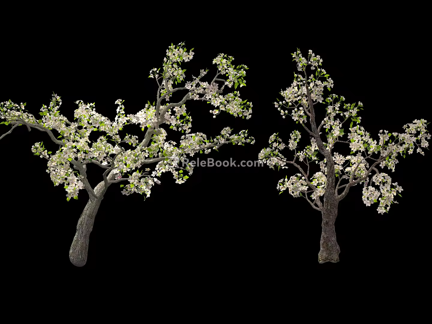 Pear Tree Modern Tree 3d model