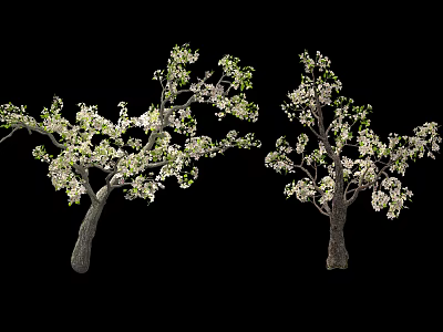 Pear Tree Modern Tree 3d model