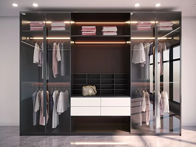 Modern Wardrobe with Glass Doors Hanging Folded Clothes Drawer Cabinet Built in Lighting Storage Design 3d model