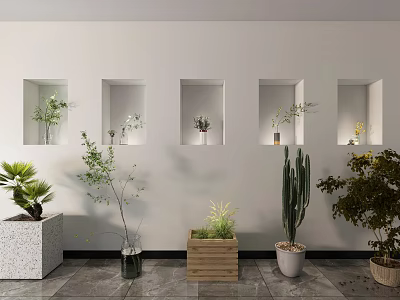 Bonsai and Potted Plants Display in Wall Niches and Floor with Concrete Wooden Woven Planters 3d model