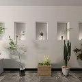 Bonsai and Potted Plants Display in Wall Niches and Floor with Concrete Wooden Woven Planters