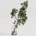 Elegant Decorative Ornament Set With White Vase And Lush Green Leafy Plant