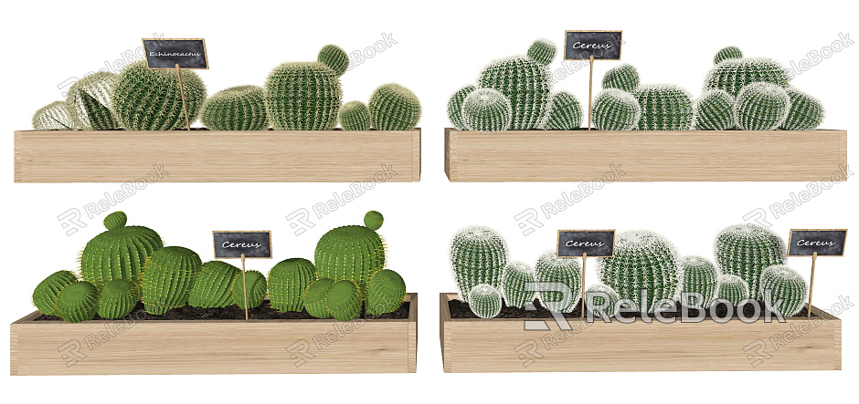 Modern Cactus Cactus Green Plants Potted Plants Decorative Flower Box Ornaments model