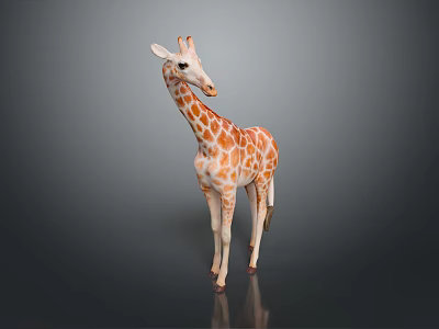 Standing Giraffe Model With Brown White Spots Long Neck And Reflective Surface 3d model