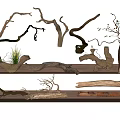 Natural Wooden Root Sculptures with Various Twisted Branches and Small Grass on Wooden Shelves