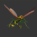 Modern Wasp Bumblebee Insect Fantasy Insect Big Dragonfly 3d model