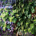 Living Plant Wall Featuring Wisteria Blooms Greenery Purple Pink Flowers Deer Sculpture Stream And Grass