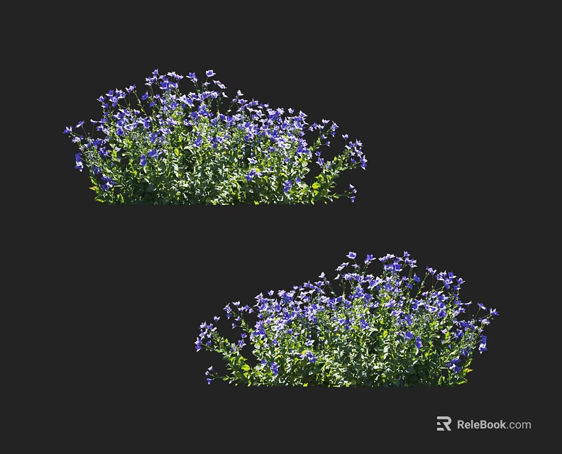 Blooming Purple Flower Clusters with Lush Green Leaves in Garden 3d model 