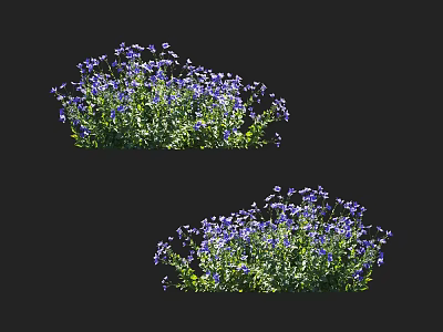 Blooming Purple Flower Clusters with Lush Green Leaves in Garden 3d model