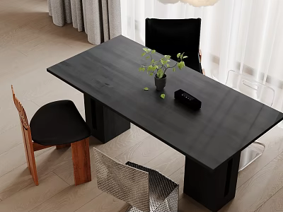 Modern Black Dining Table Set With Mixed Style Chairs And Green Plant Decoration 3d model