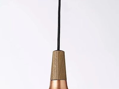 Modern Minimalist Pendant Light with Wooden Top and Copper Body Design 3d model