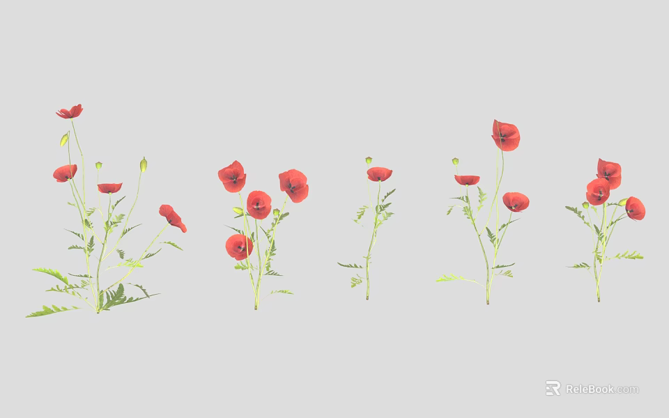 Red Poppy Flowers in Various Blooming Stages with Multiple Plants 3d model 
