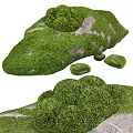 Lush Green Moss Covered Rocks With Small Stones In Natural Setting