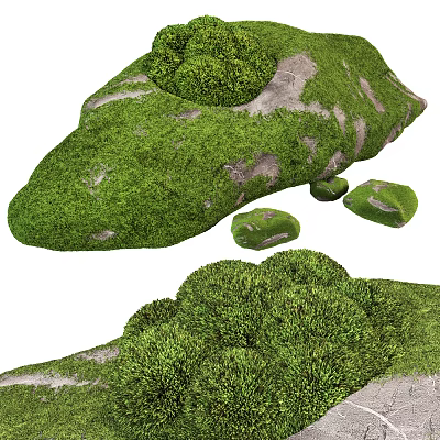 Lush Green Moss Covered Rocks With Small Stones In Natural Setting 3d model