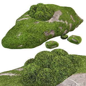 moss flower bed flower body plant moss 3d model