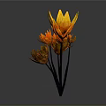 Vibrant Red and Yellow Flower Plant with Petals and Black Stems on Gray Background