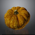 Fresh Orange Ripe Pumpkin With Textured Surface On Dark Background