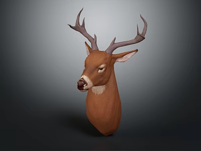 Realistic Deer Head Mount With Large Antlers And Detailed Facial Features 3d model