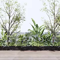 Lush Green Plants And Trees In Outdoor Garden With Wooden Floor And Black Planters