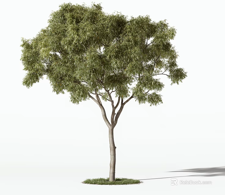 Lush Green Arbor With Dense Foliage Tall Trunk And Natural Shadow On Grass 3d model 