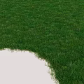 Lush Green Natural Grass Lawn With Soft Texture For Outdoor Landscaping