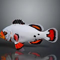 Colorful Tropical Fish With White Body Black Orange Markings On Fins Tail And Eye Accents