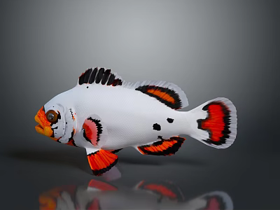 Colorful Tropical Fish With White Body Black Orange Markings On Fins Tail And Eye Accents 3d model