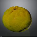 Fresh Round Yellow Greenish Textured Orange Fruit On Dark Background