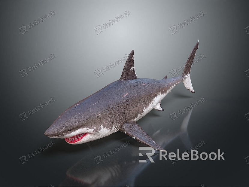 shark great white shark whale shark hammerhead shark tiger head shark man-eating shark blue shark coral red coral white coral model