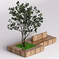 Modern Tree Pool Landscape Tree 3d model