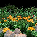 Lush Green Shrubs With Vibrant Yellow Flowers And Natural Rocks In Garden