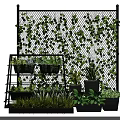 Garden Decor With Mesh Fence Covered In Green Vines And Multi Tiered Plant Racks