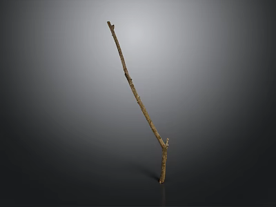 Single Slender Dry Leafless Natural Plant Branch Against Dark Background 3d model