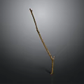 Single Slender Dry Leafless Natural Plant Branch Against Dark Background