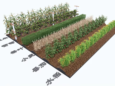 crops farmland corn wheat grape rice tomato 3d model