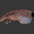 Abstract Colorful Spiral Wave Sculpture With Red Pink Blue Layered Stripes