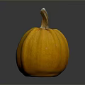 Fresh Orange Pumpkin On Dark Background With Shiny Surface Reflection