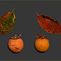 Orange Persimmons With Red Green Leaves Against Gray Background With Reflection