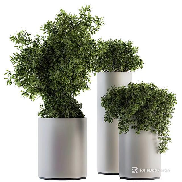 Lush Green Bonsai Potted Plants With Dense Foliage In Silver Cylindrical Planters 3d model 