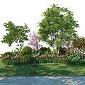Lush Garden Shrubs With Decorative Trees Flowers And Green Grass Near Stone Path