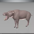 Pink Hippopotamus Model With Open Mouth And Teeth Standing On Black Surface Gray Background