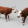 Cow 3d model