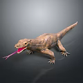 Reptile Lizard With Brown Body And Pink Tongue Sticking Out On Grey Background