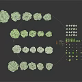 Collection of Various Green Plants with Different Sizes Shapes and Decorative Details